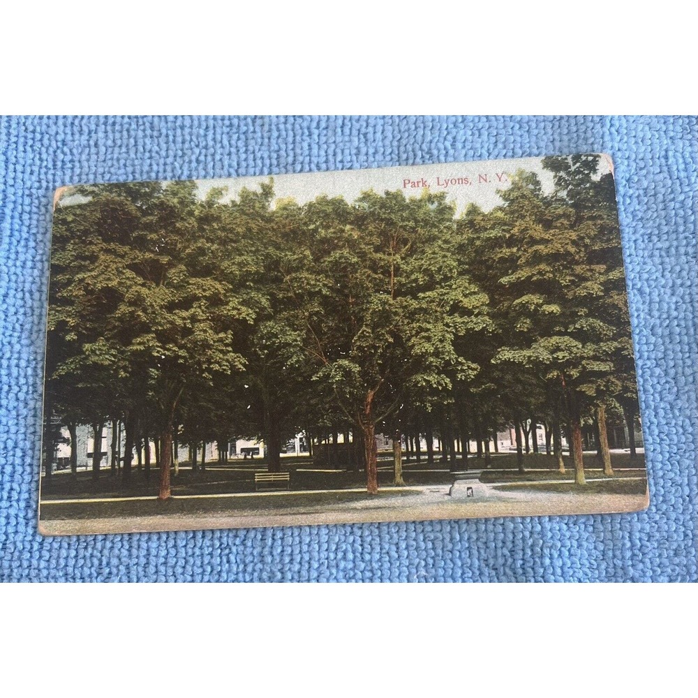1910 Lyons, NY Postcard - 'View of the Park' -‎ New York